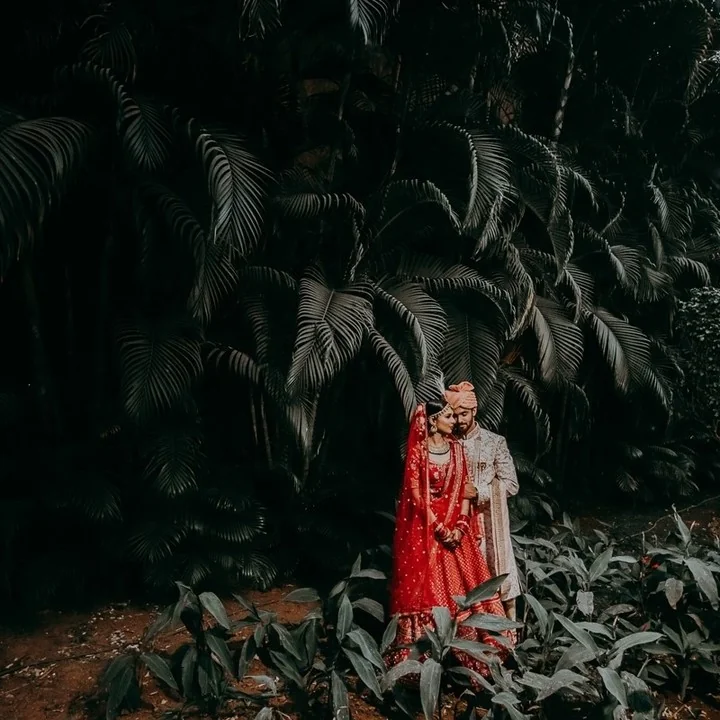The Wedding Pictures — Portfolio