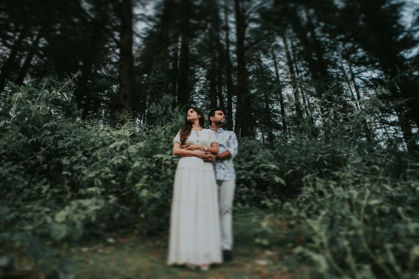 The Wedding Pictures — Portfolio