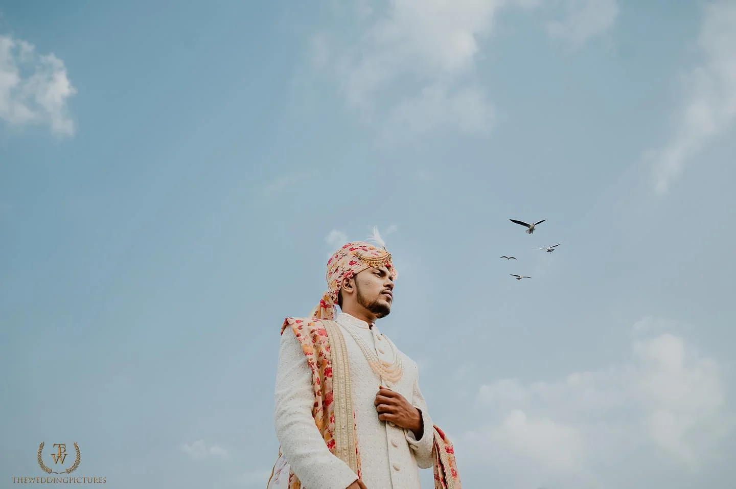 The Wedding Pictures — Portfolio