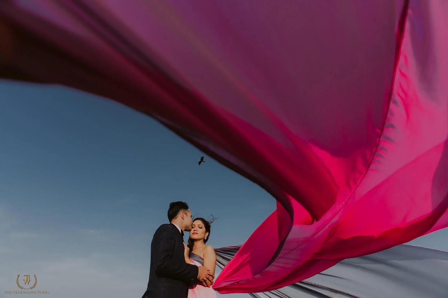 The Wedding Pictures — Portfolio