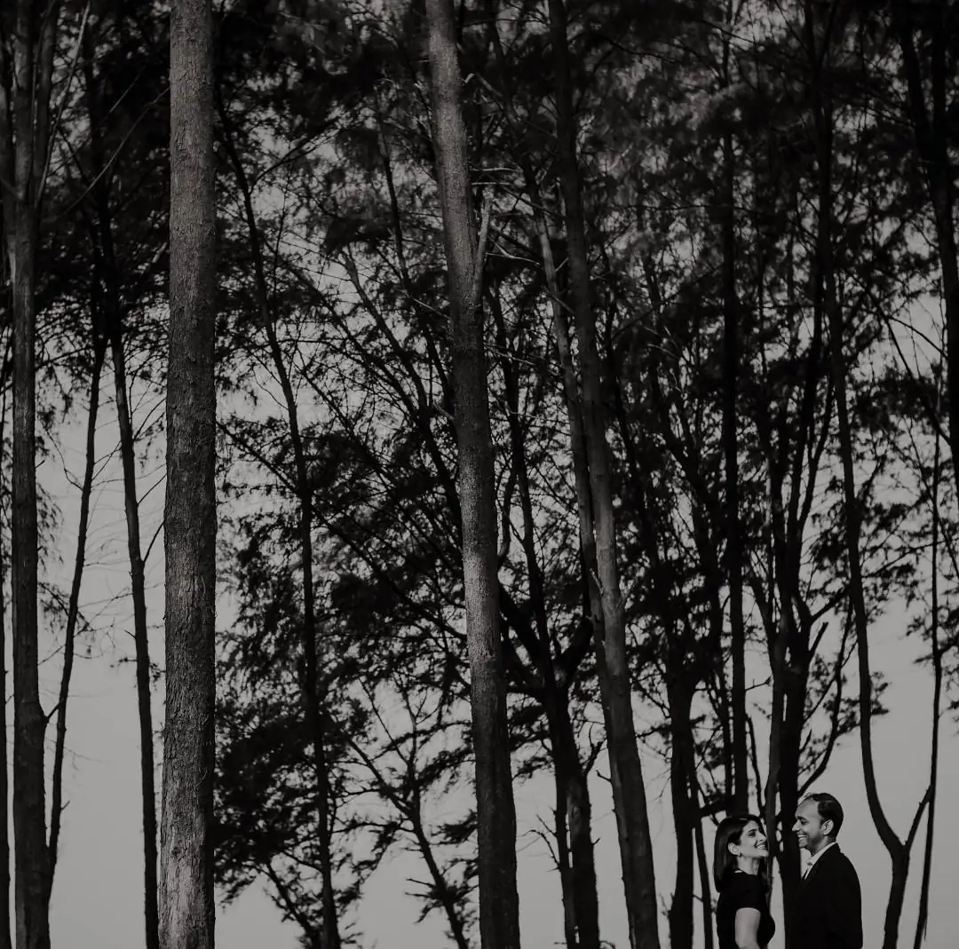 The Wedding Pictures — Portfolio