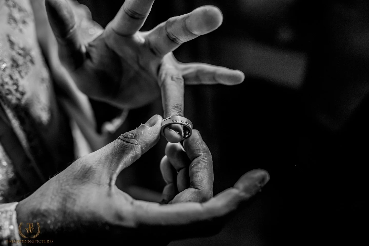 The Wedding Pictures — Portfolio