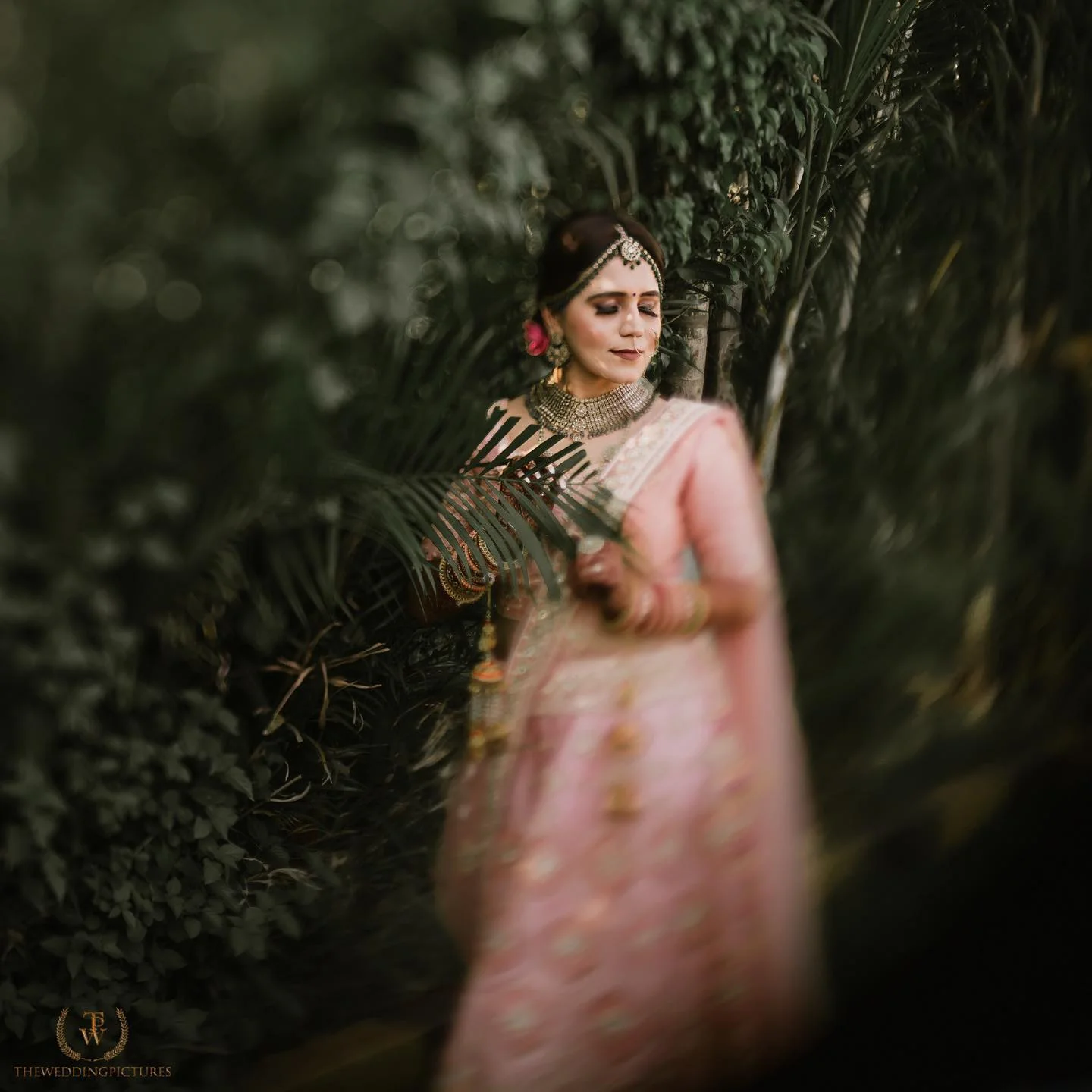The Wedding Pictures — Portfolio