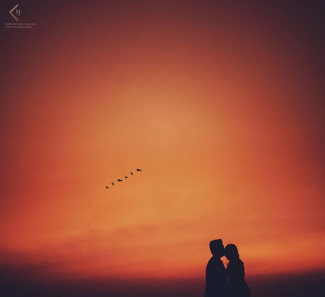 The Wedding Pictures — Portfolio