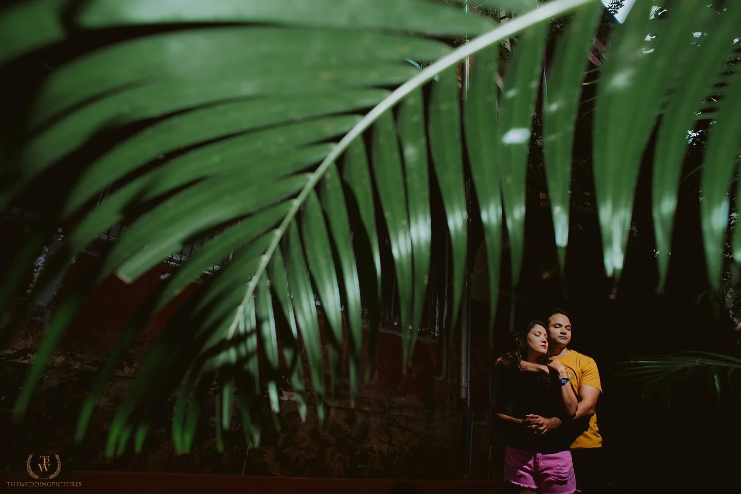 The Wedding Pictures — Portfolio