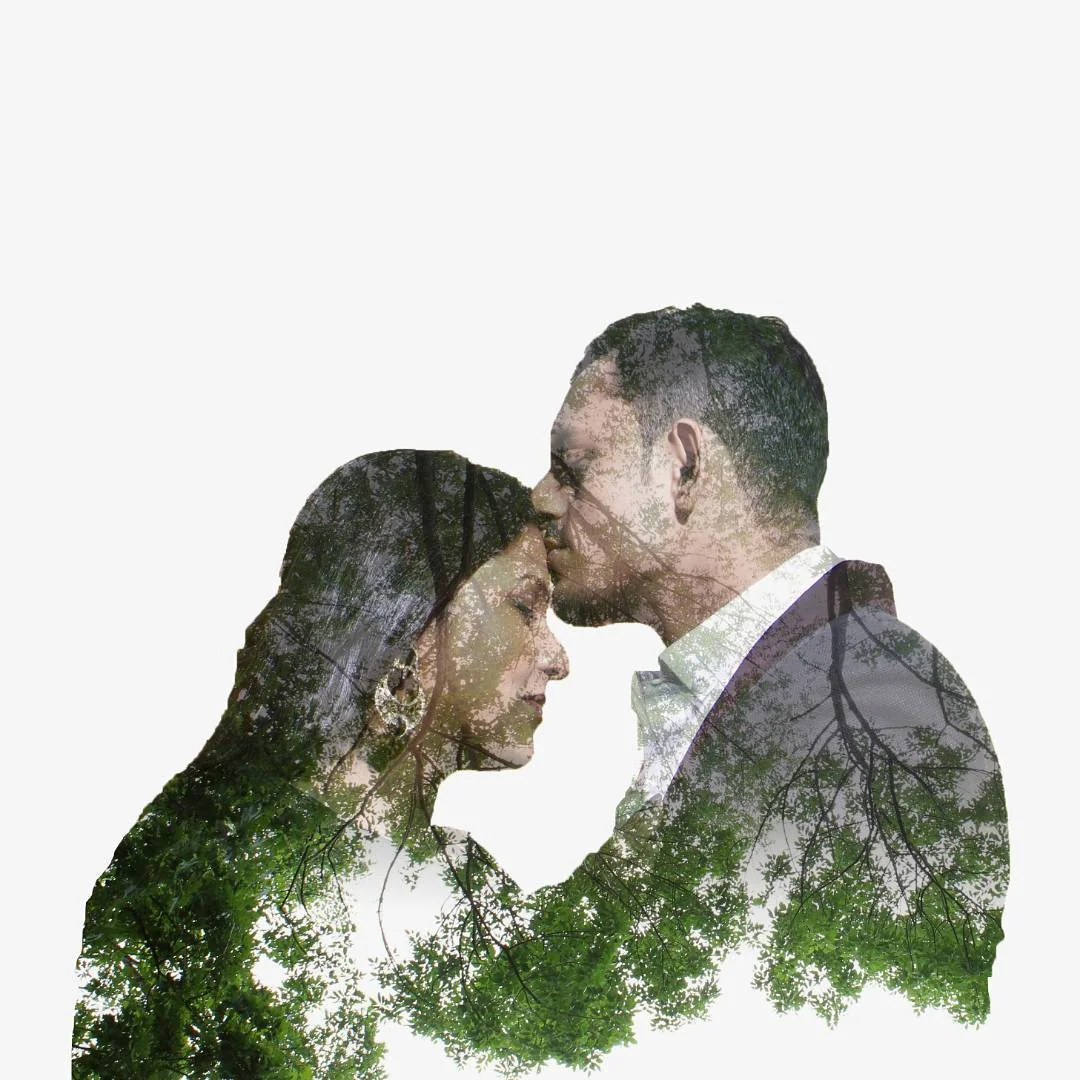 The Wedding Pictures — Portfolio