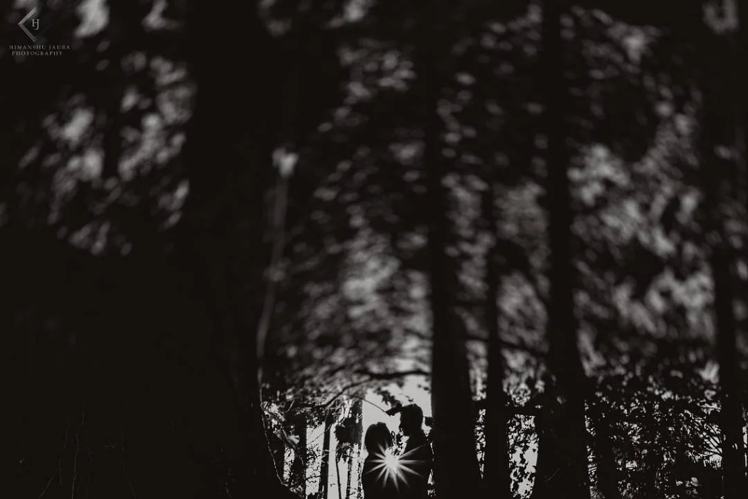The Wedding Pictures — Portfolio