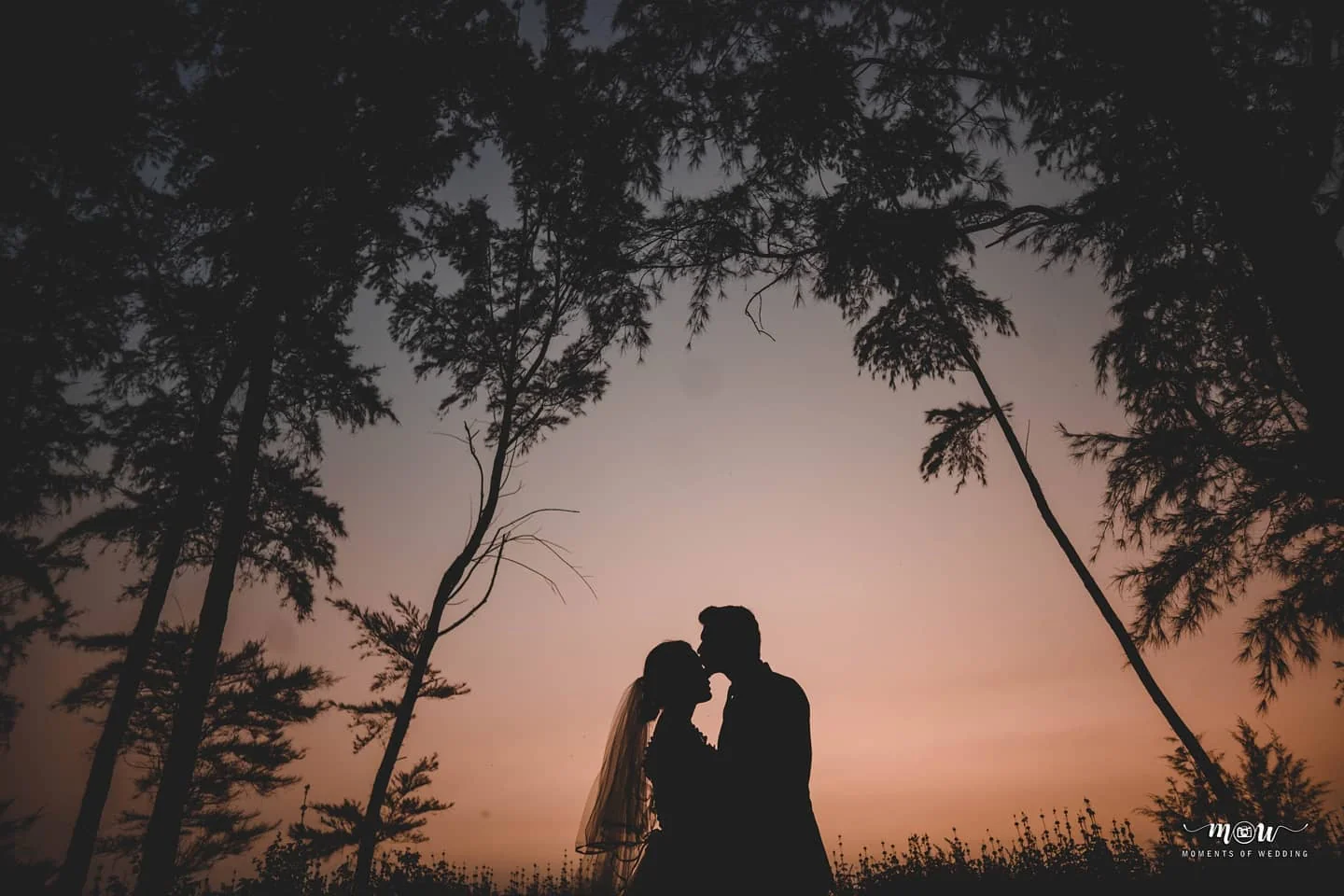 Wedding Stories by Rakesh — Portfolio